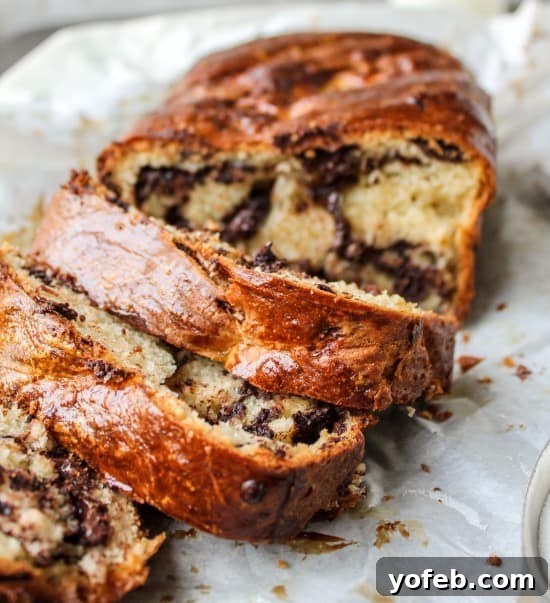 The Ultimate Chocolate Babka Recipe 4 Homemade chocolate babka, perfectly sliced to reveal internal swirls.
