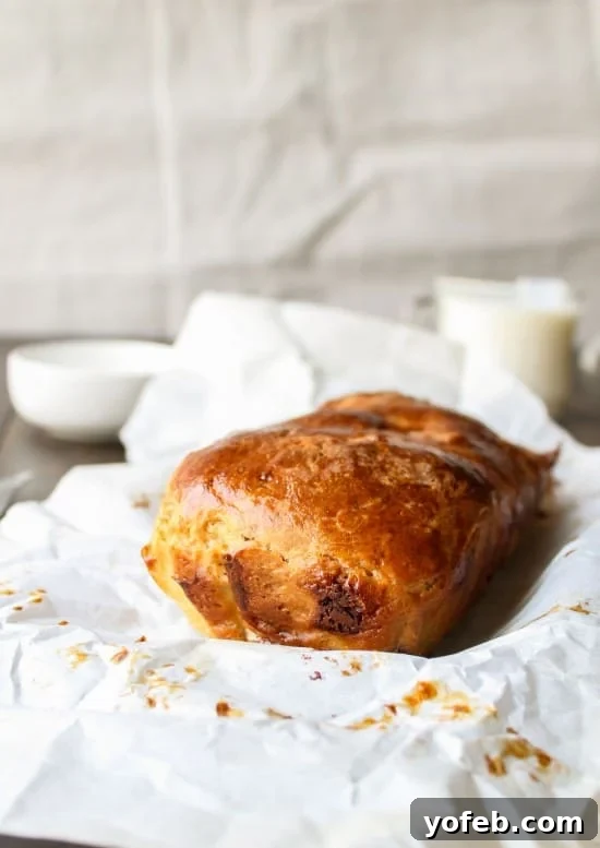 The Ultimate Chocolate Babka Recipe 5 A beautifully braided and baked loaf of homemade chocolate babka.