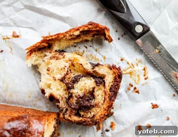 The Ultimate Chocolate Babka Recipe 6 A torn piece of chocolate babka revealing its soft interior and chocolate swirls.