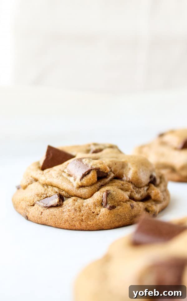 Chewy Chocolate Chunk Gingerbread Bliss 3 Soft and chewy gingerbread cookies with melted chocolate chunks.