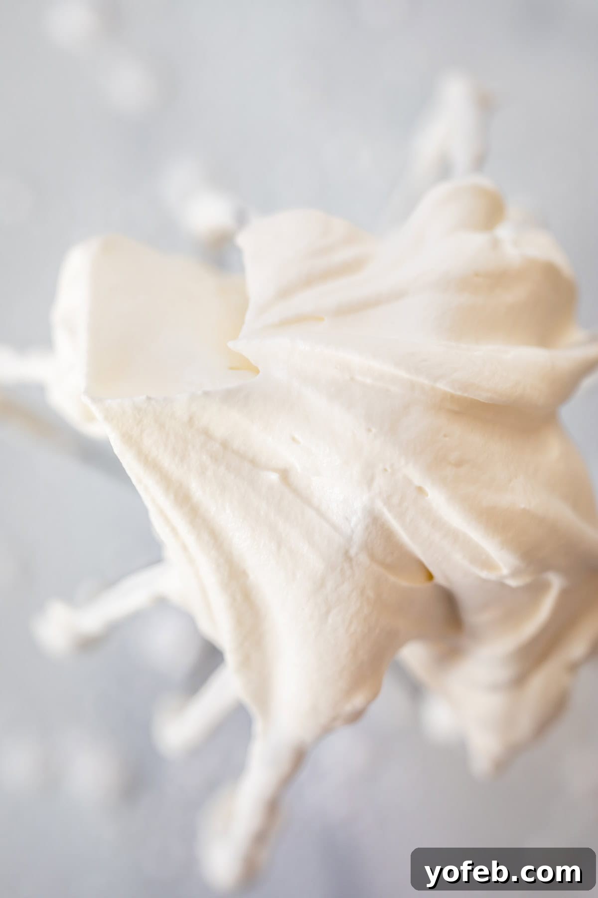 Homemade Whipped Cream Made Easy 4 looking straight into the peak of stiff whipped cream at the end of a whisk.