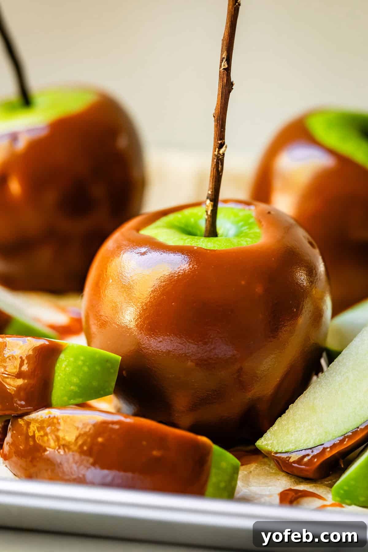 My Ultimate Caramel Apple 4 A beautifully glazed caramel apple, showcasing its green skin peeking through, adorned with a rustic twig stick. It's ready for a delightful autumn indulgence.