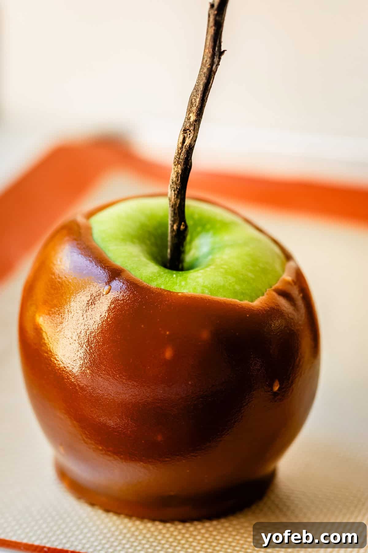 My Ultimate Caramel Apple 8 A single, perfectly coated caramel apple featuring a natural twig stick, with the vibrant green apple skin peeking out from beneath the golden caramel.