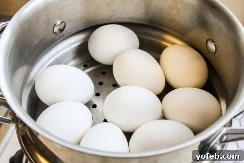 Steamer basket with eggs in a pot, ready for steaming