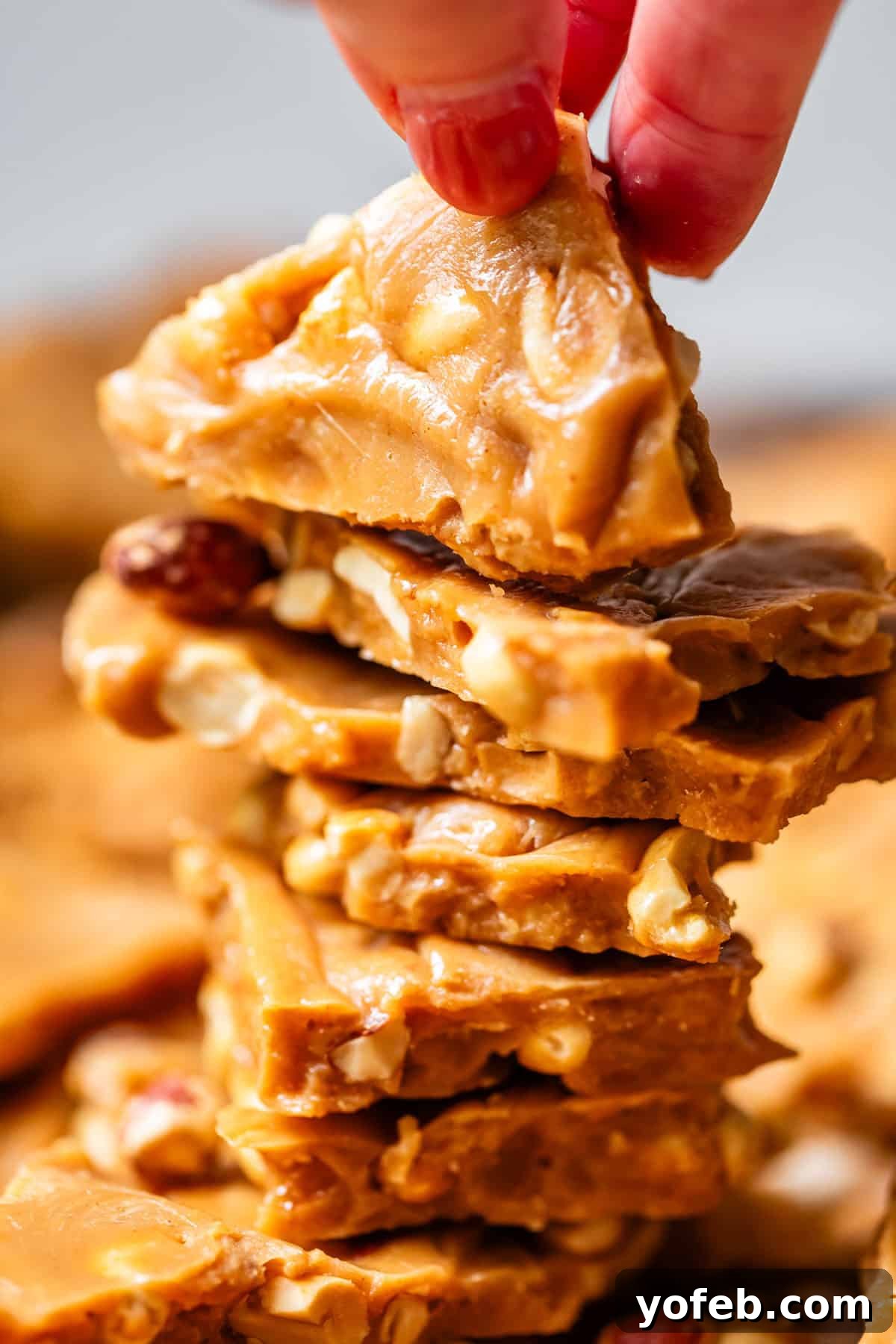 Golden Peanut Snap 18 A close-up shot of a hand gently picking up a piece of golden, nut-filled peanut brittle from the top of a beautifully stacked pile of brittle pieces. The candy gleams with a glossy, crunchy texture, showcasing whole peanuts embedded within.
