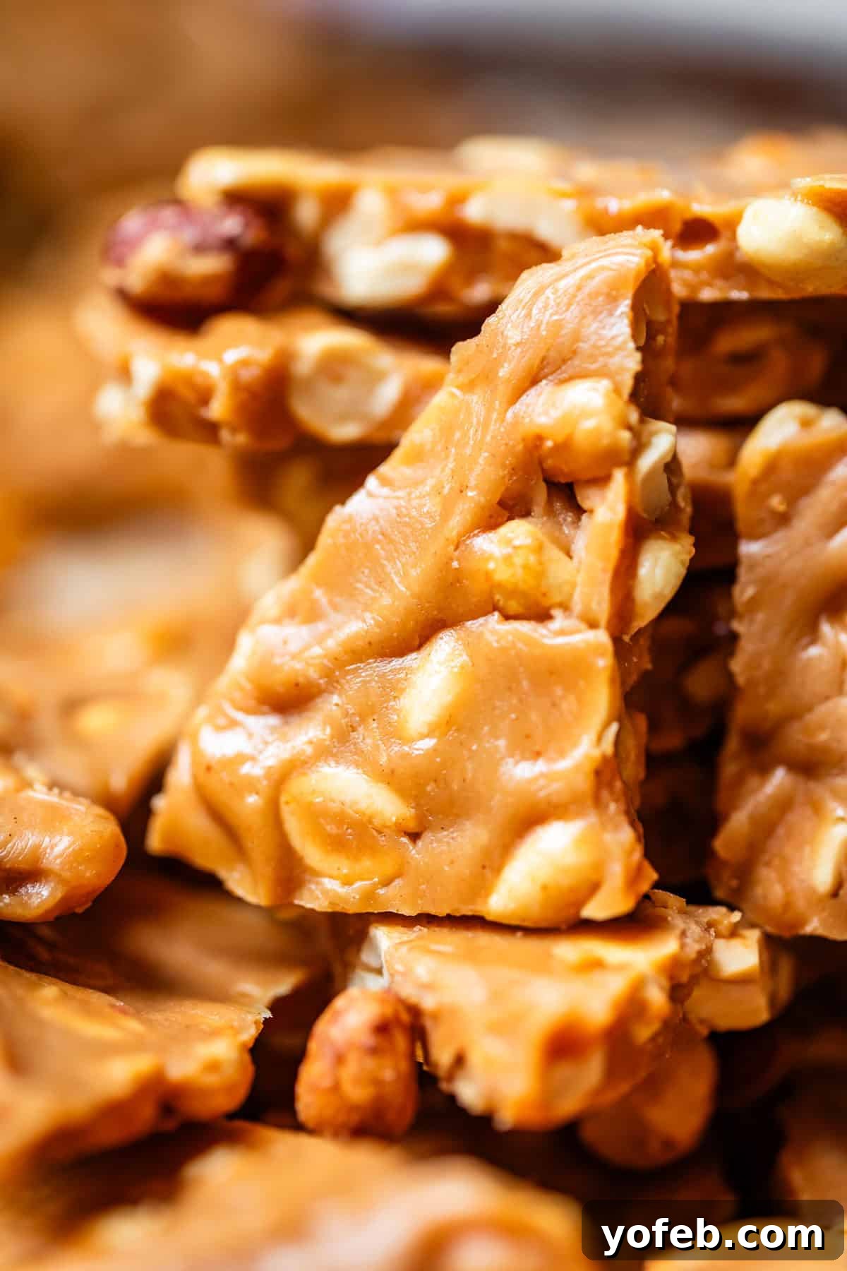 Golden Peanut Snap 19 Close-up of pieces of golden, glossy caramel peanut brittle, broken into visually appealing jagged shards with abundant whole peanuts visibly embedded throughout its crunchy texture.