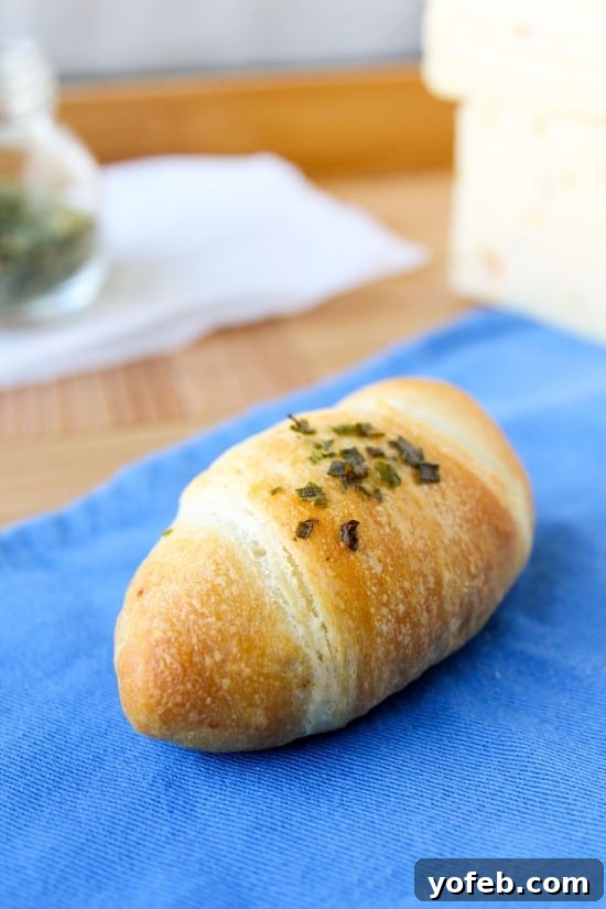Spicy Bacon and Pepper Jack Crescent Rolls 4 Ingredients for Bacon & Pepper Jack Stuffed Crescent Rolls - Only 3 main items