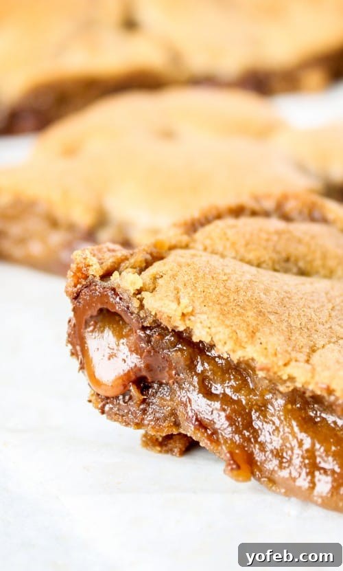 Browned Butter Blondies Swirled with Sea Salt Butterscotch Caramels 7 A close-up of a perfectly baked browned butter blondie, glistening with melted butterscotch caramels and a hint of sea salt.