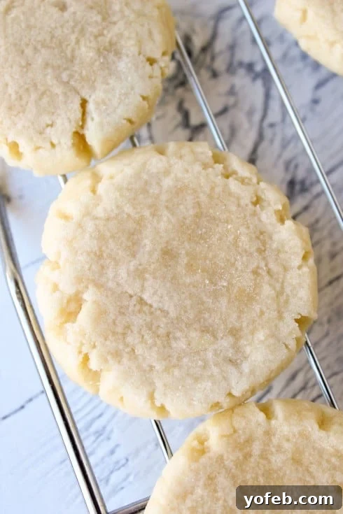 Sweetheart Cookies with a Snowy Coconut Crown 14 Freshly Baked Sugar Cookies Cooling
