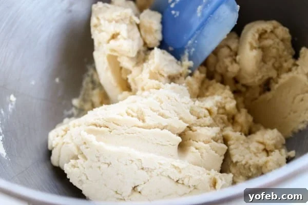 Sweetheart Cookies with a Snowy Coconut Crown 9 Preparing Sugar Cookie Dough Balls