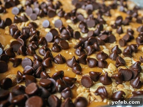 Ultimate Snickers Brownie Treat 14 Chocolate chips on top of Snickers Brownie Bars before melting