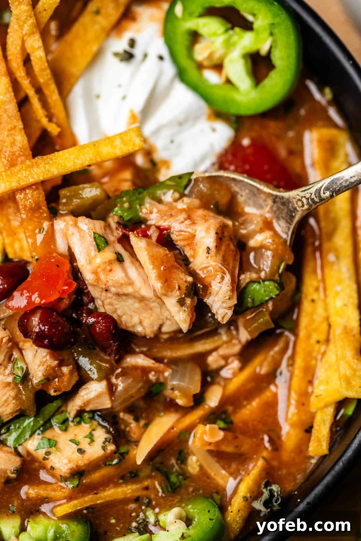 No-Fuss Chicken Tortilla Soup 4 spoon holding up a bite of the soup showing the big chunks of rotisserie chicken.