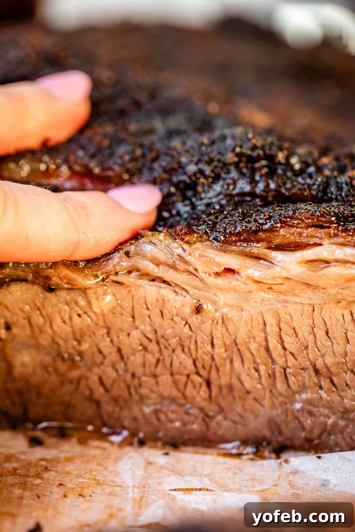 Texas Brisket: Oven-Perfected Tenderness 7 Juicy beef brisket crut showing charred top edge close up with fingers.