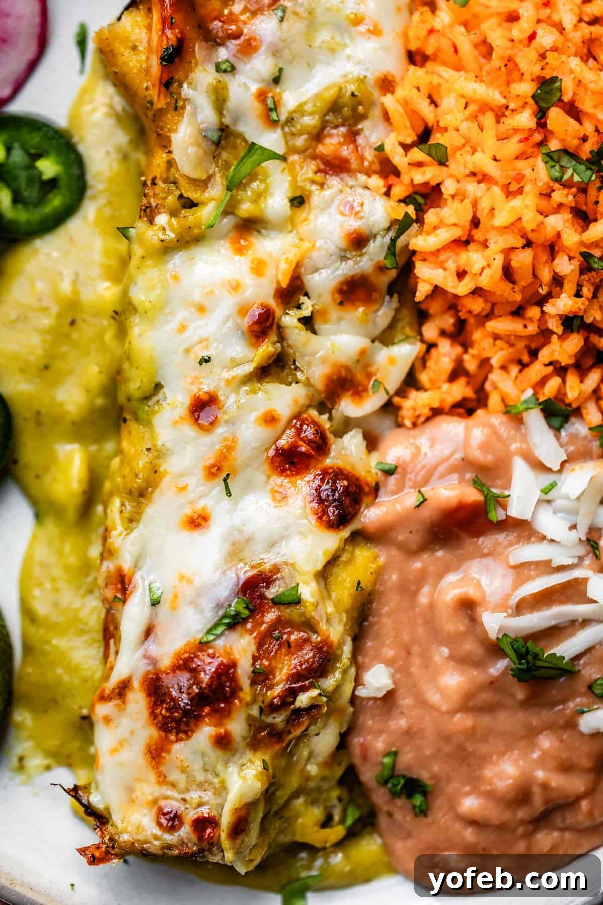 Yeni Gözdem Tavuk Enchilada 22 close up of rice, beans, and chicken enchiladas with jalapeno, lime, and avocado garnish.