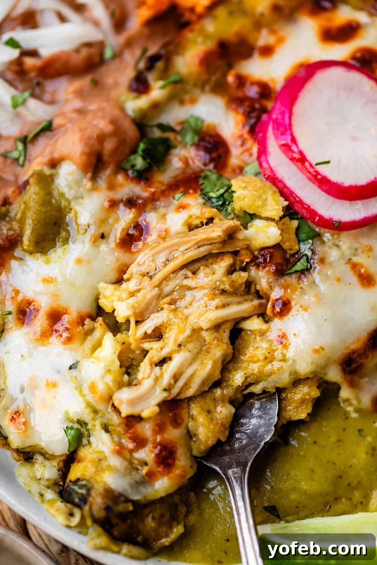 Yeni Gözdem Tavuk Enchilada 25 green enchiladas with a fork pulling out the chicken to show the insides.