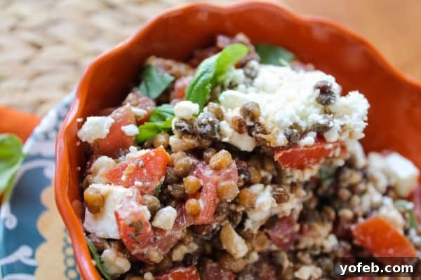 Garden-Fresh Bruschetta with Earthy Lentil Dip 4 Various healthy ingredients for the dip