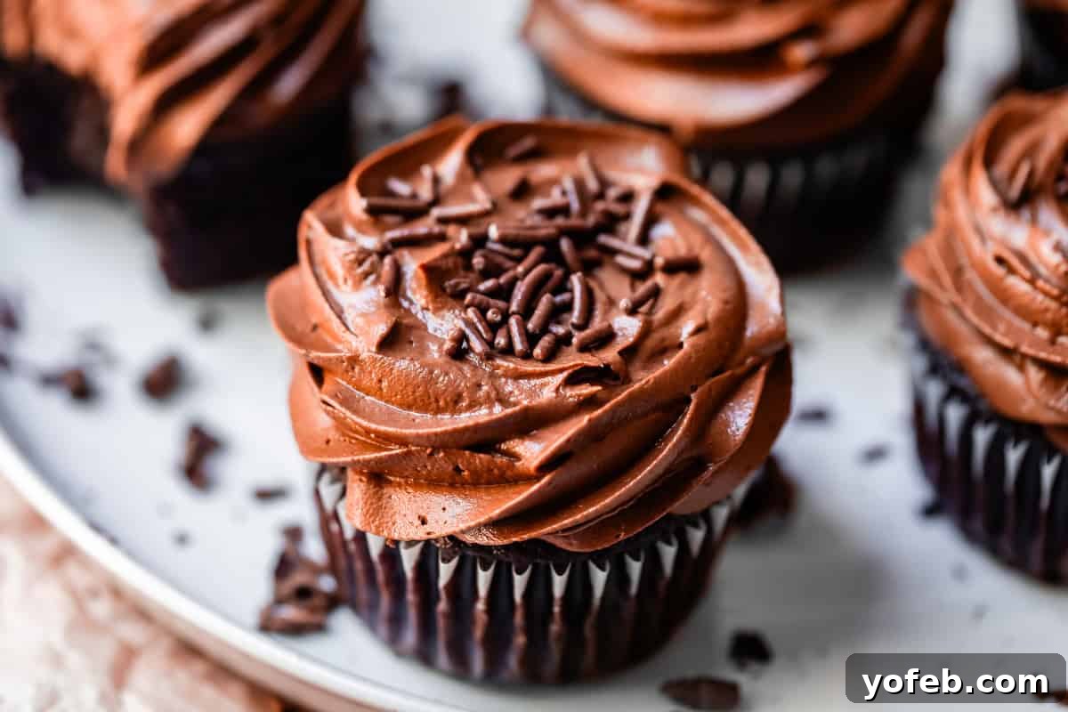 Luscious Chocolate Buttercream: Spoon-Licking Guaranteed 16 side view of a chocolate cupcake topped with piped chocolate frosting and sprinkles.