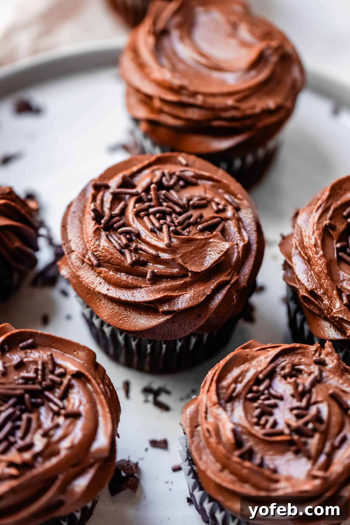 Luscious Chocolate Buttercream: Spoon-Licking Guaranteed 6 five chocolate cupcakes topped with chocolate buttercream and sprinkles on a tray.