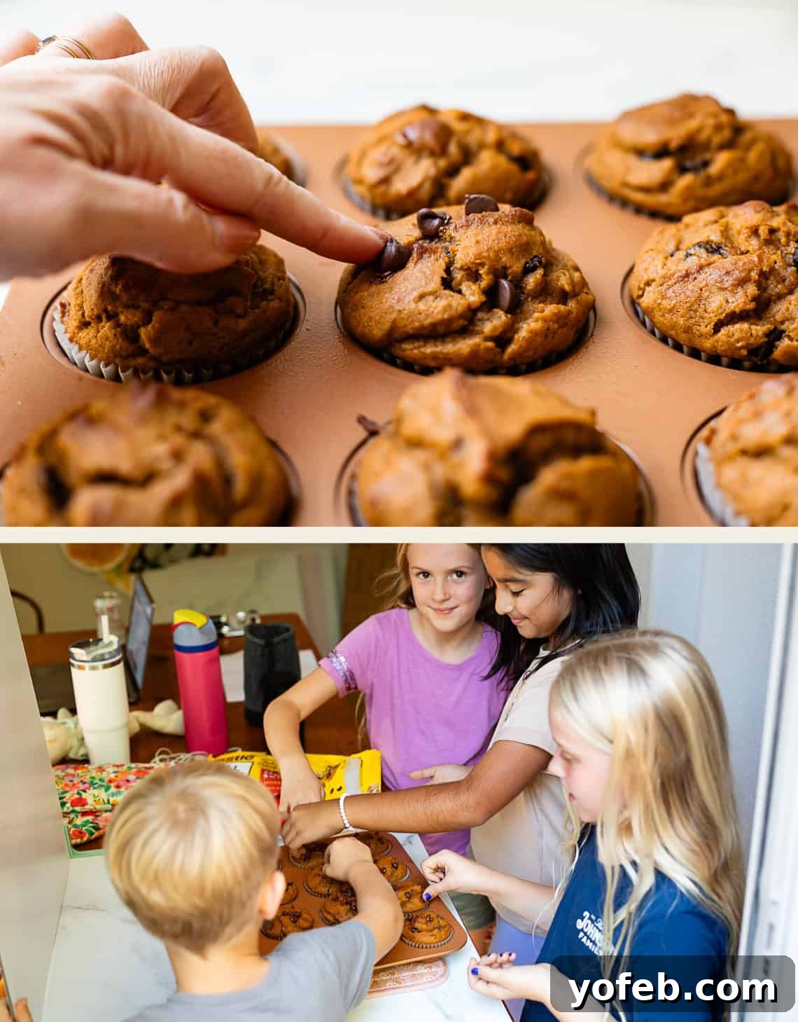 Warm Spiced Pumpkin Chocolate Chip Muffins 13 Two images: one showing a chocolate chip being pressed into a muffin, another showing children helping add chocolate chips to muffins.