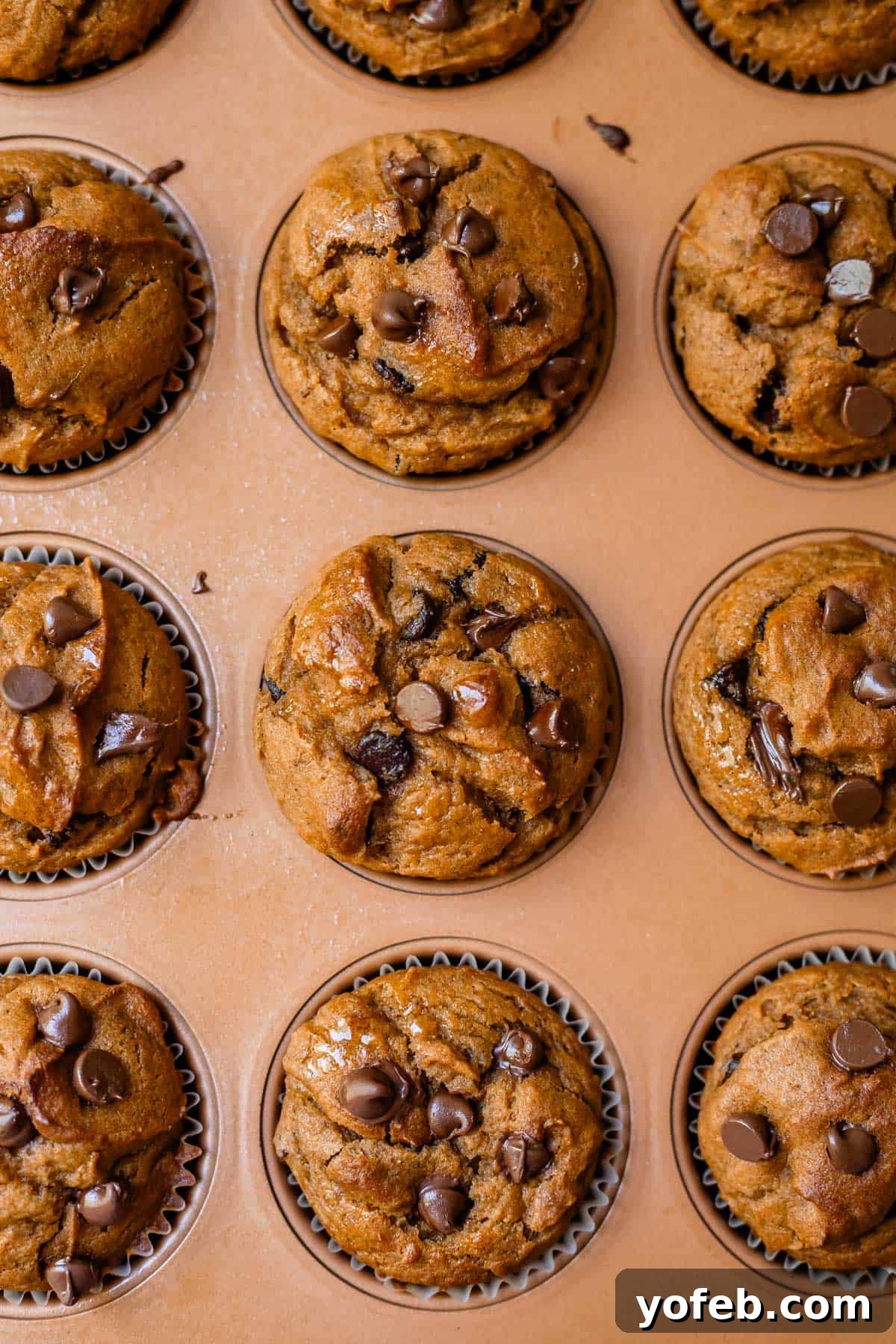 Warm Spiced Pumpkin Chocolate Chip Muffins 14 Overhead shot of freshly baked pumpkin chocolate chip muffins in the muffin pan.