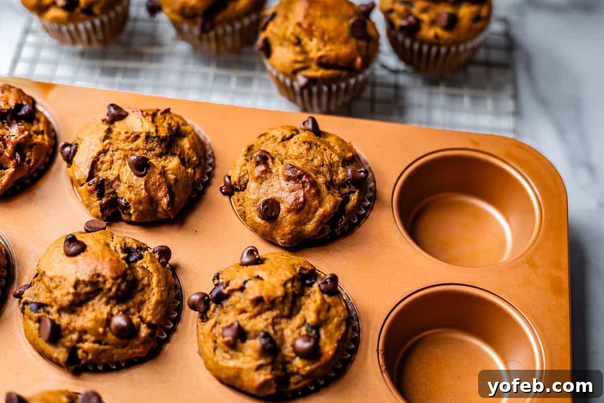 Warm Spiced Pumpkin Chocolate Chip Muffins 15 Muffins in a muffin tin, with some removed to demonstrate the benefit of prompt removal.