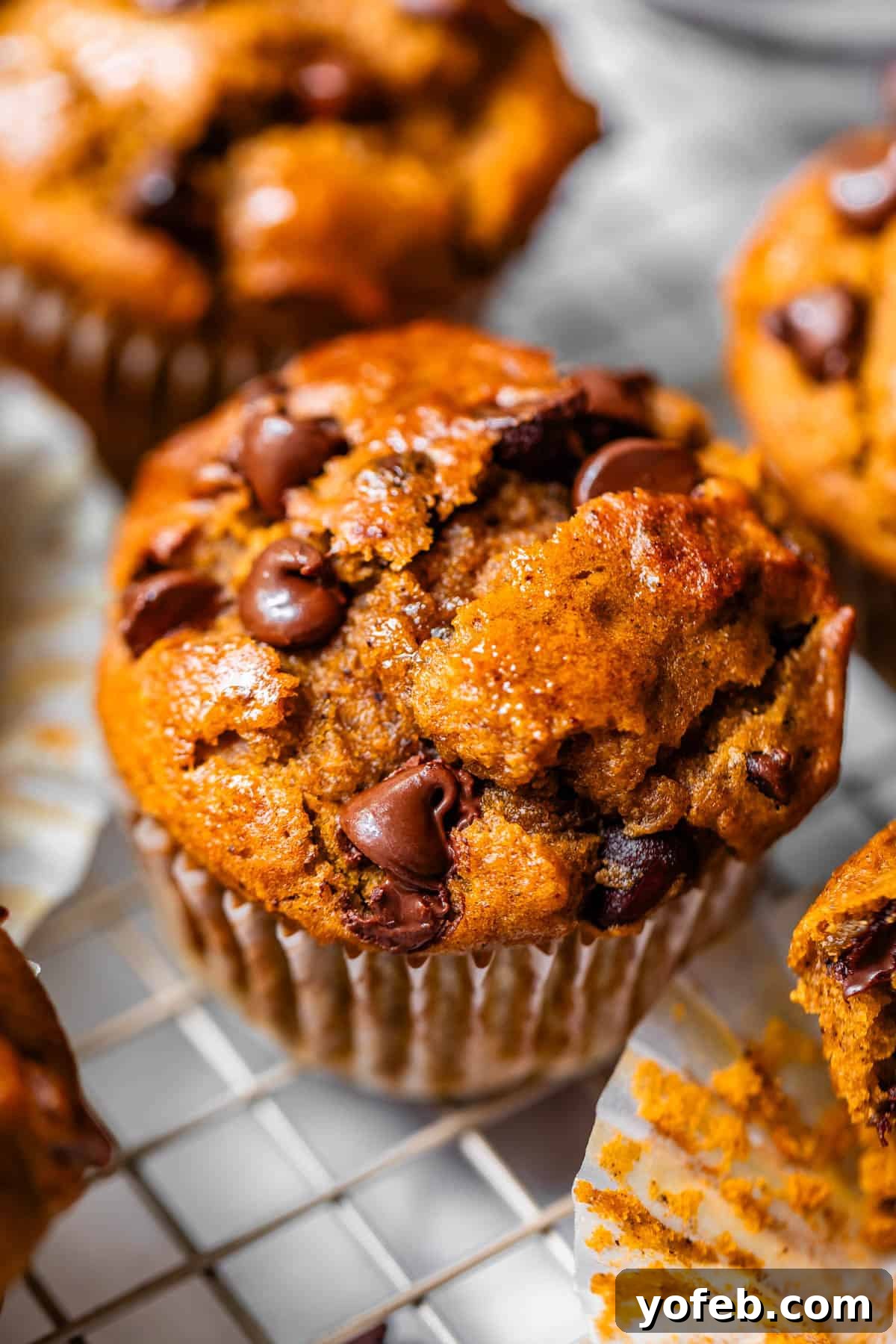 Warm Spiced Pumpkin Chocolate Chip Muffins 20 Close-up of a perfectly baked pumpkin chocolate chip muffin, still in its paper liner, cooling on a wire rack.