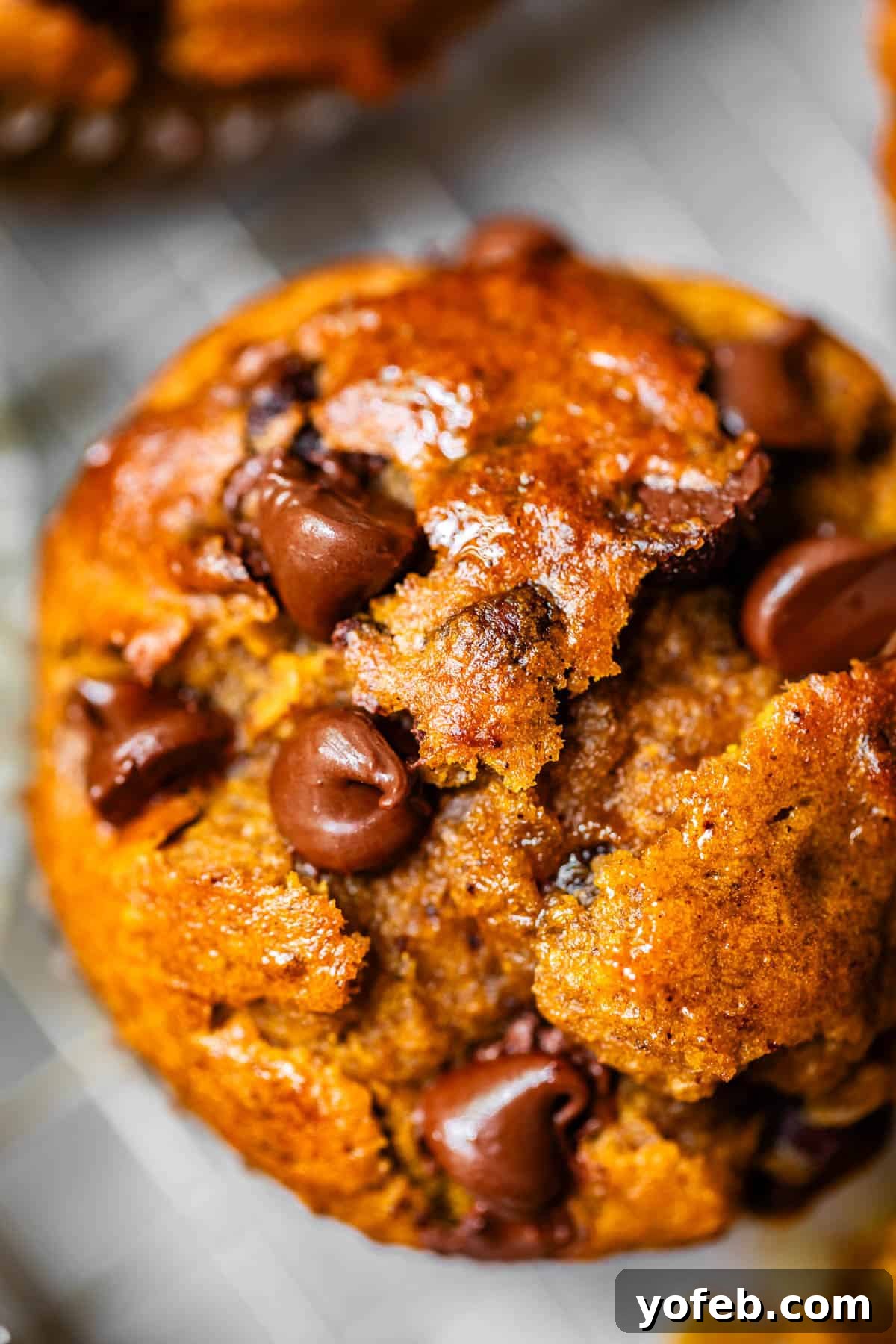 Warm Spiced Pumpkin Chocolate Chip Muffins 3 Overhead view of a pumpkin chocolate chip muffin, showing abundant melted chocolate chips on top.