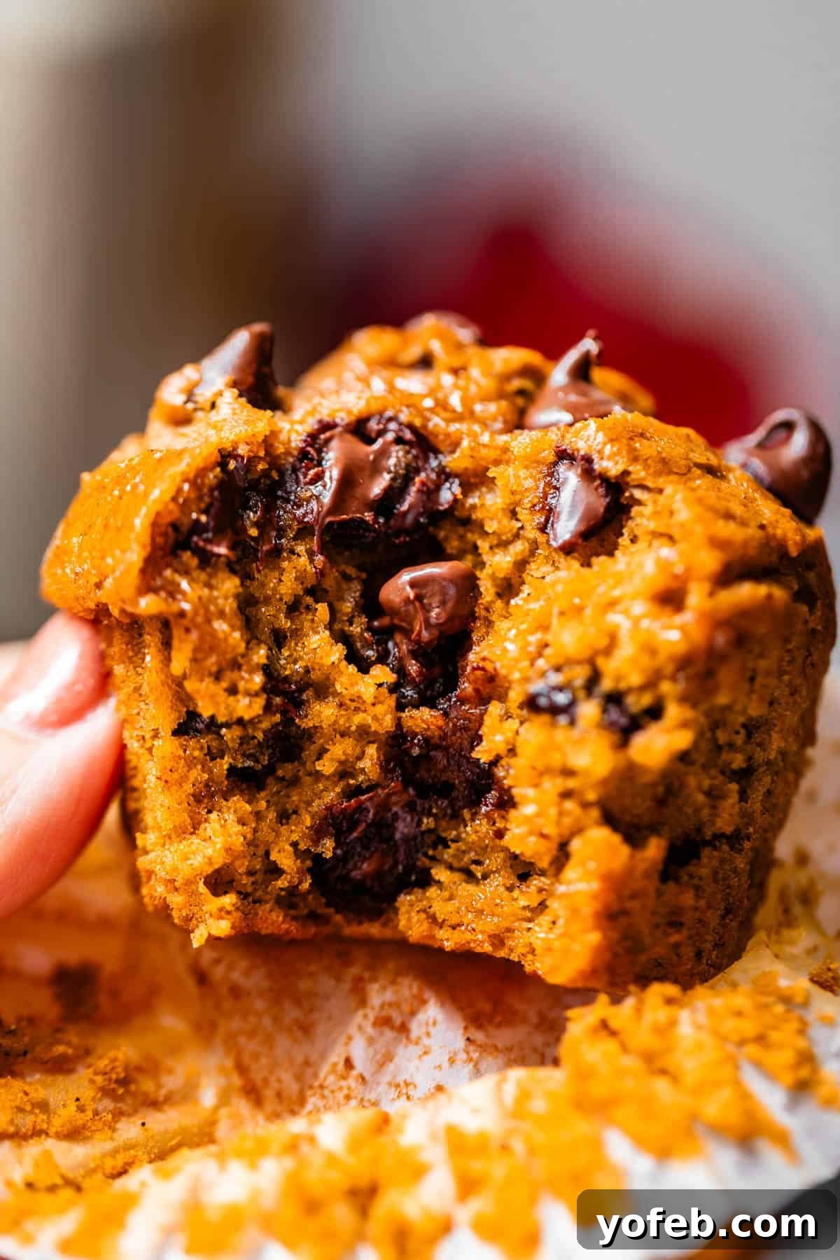 Warm Spiced Pumpkin Chocolate Chip Muffins 5 A thumb gently pressing into a pumpkin chocolate chip muffin, with a bite already taken to show the luscious interior.