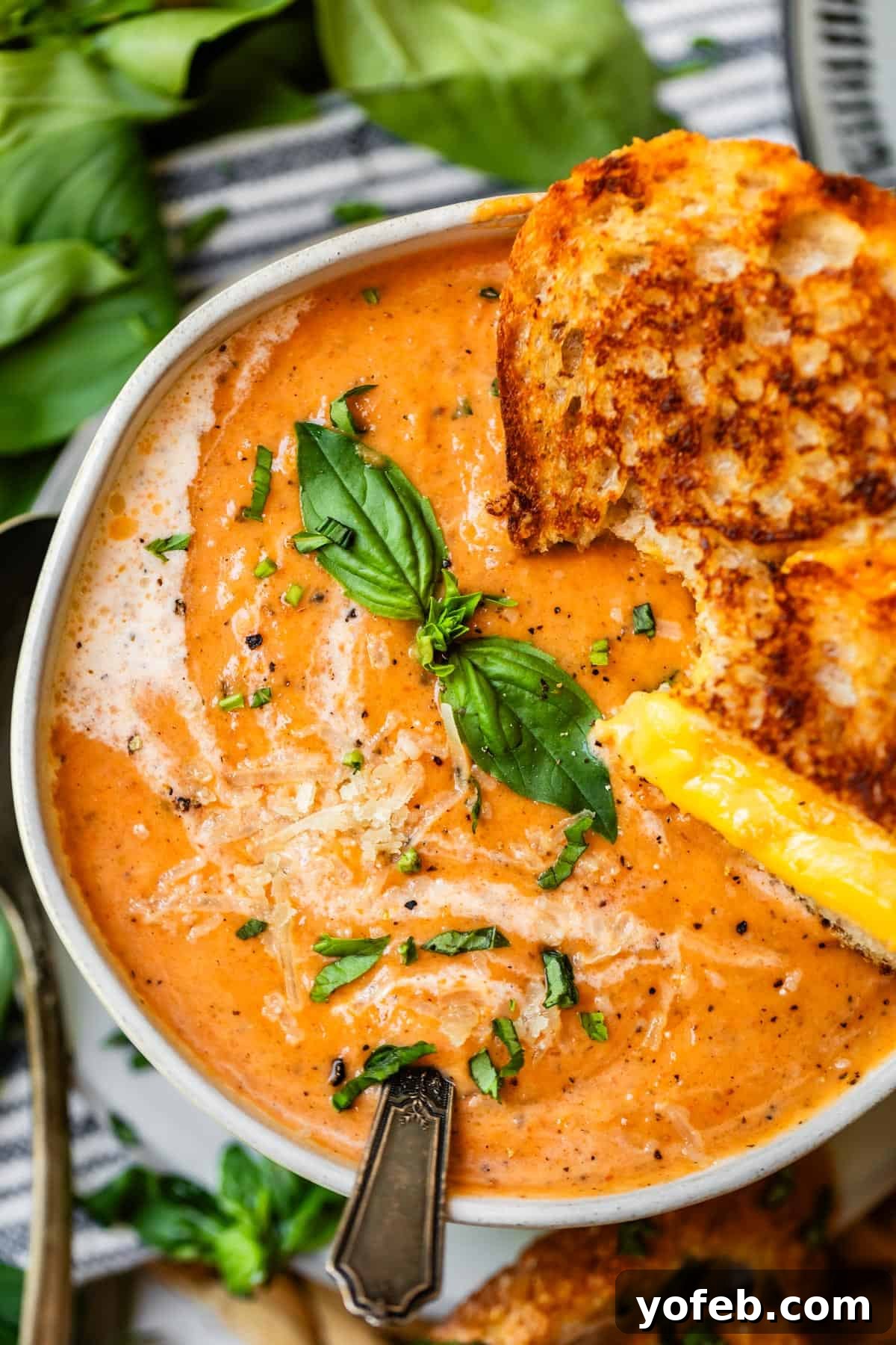 Laura's Sumptuous Tomato Bisque 2 A ceramic bowl of creamy tomato bisque garnished with fresh cream, fragrant basil leaves, and a side of grilled cheese.