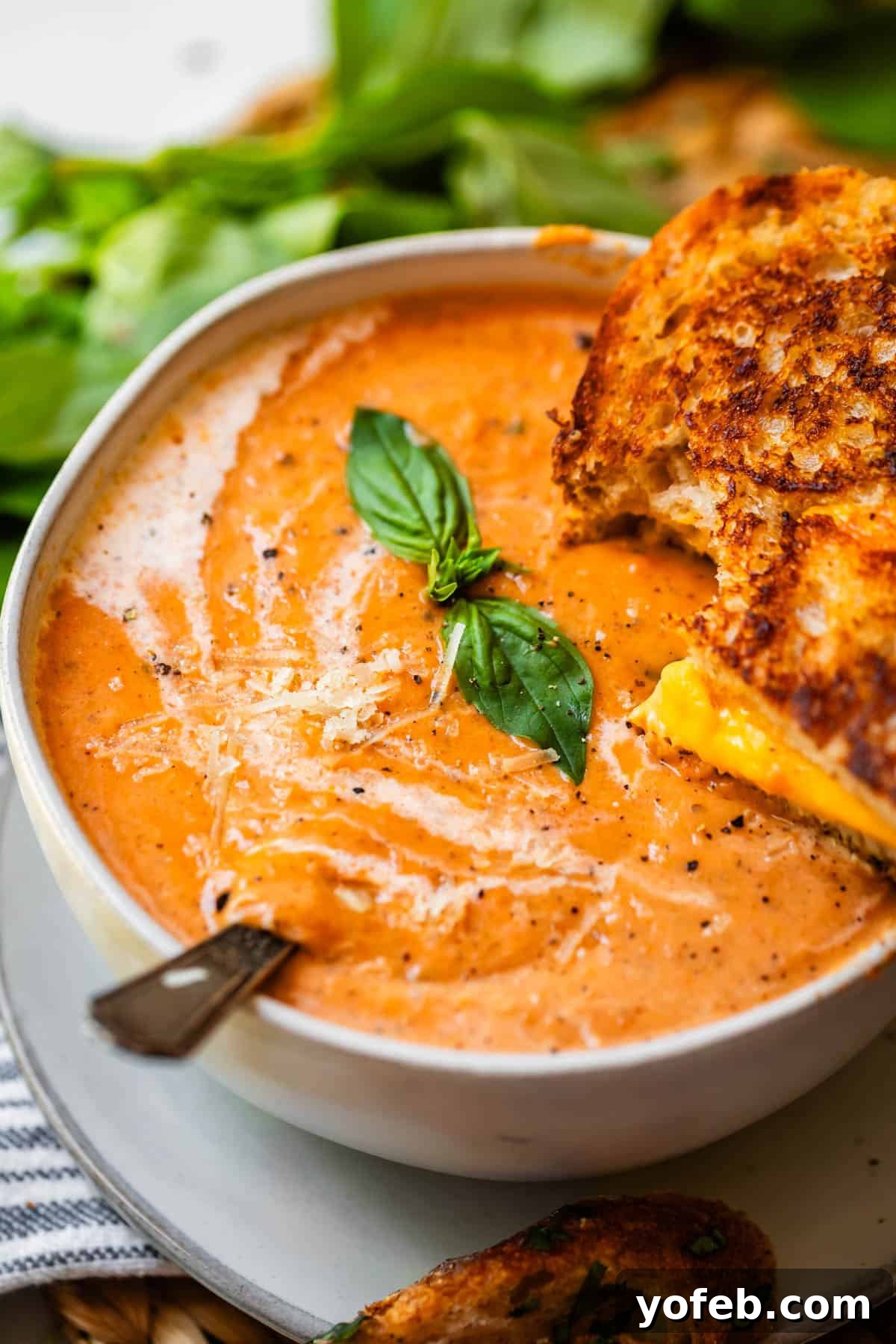 Laura's Sumptuous Tomato Bisque 16 A beautifully presented ceramic bowl of tomato bisque, garnished with a swirl of cream, fresh basil, and a perfectly golden grilled cheese sandwich.
