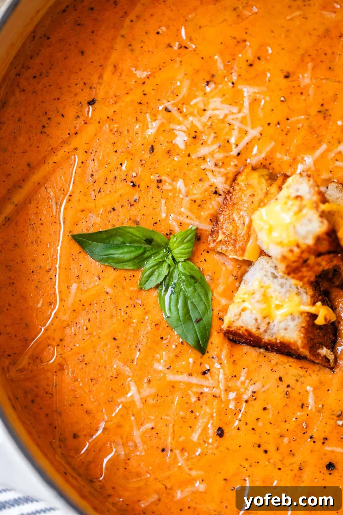 Laura's Sumptuous Tomato Bisque 3 A close-up view of velvety tomato bisque soup, beautifully garnished with vibrant basil and golden croutons, alongside shredded cheese.