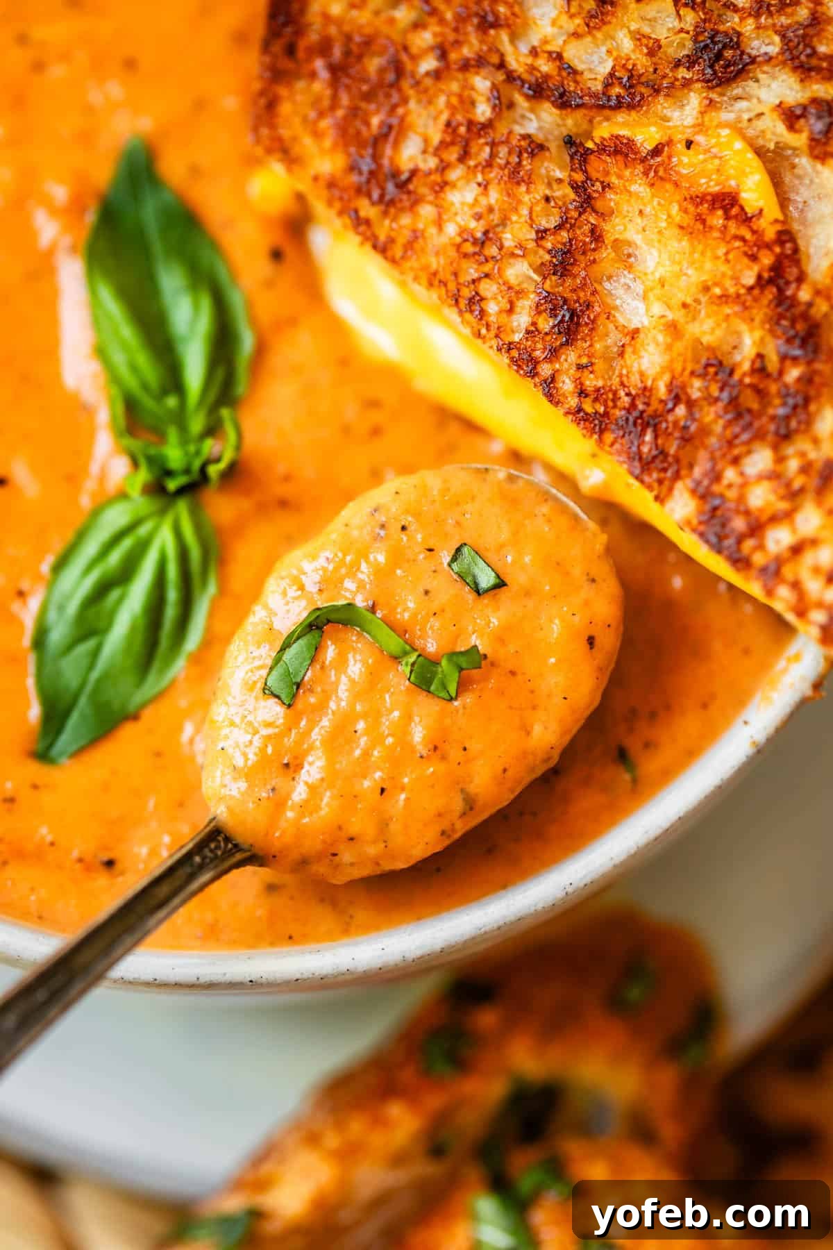 Laura's Sumptuous Tomato Bisque 4 A metal spoon holding a spoonful of vibrant tomato bisque, garnished with fresh basil, with a perfectly golden grilled cheese sandwich in the background.