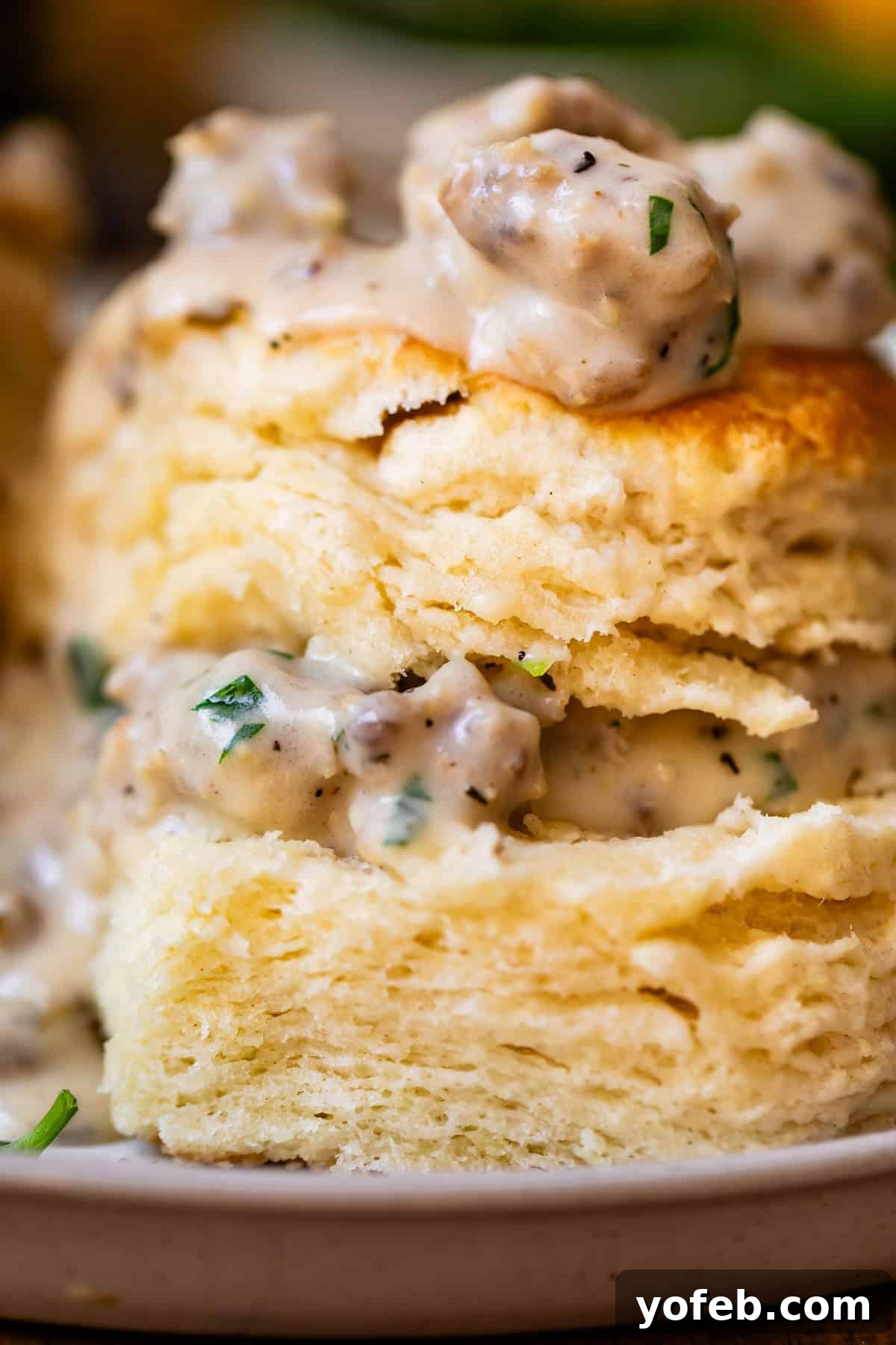 Fluffy Biscuits, Savory Gravy 2 close up of a split biscuit with the pieces stacked and sausage gravy on top and between.