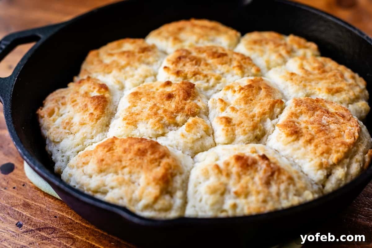 Fluffy Biscuits, Savory Gravy 11 baked homemade biscuits in a cast iron skillet on a hot pad on a wood table.