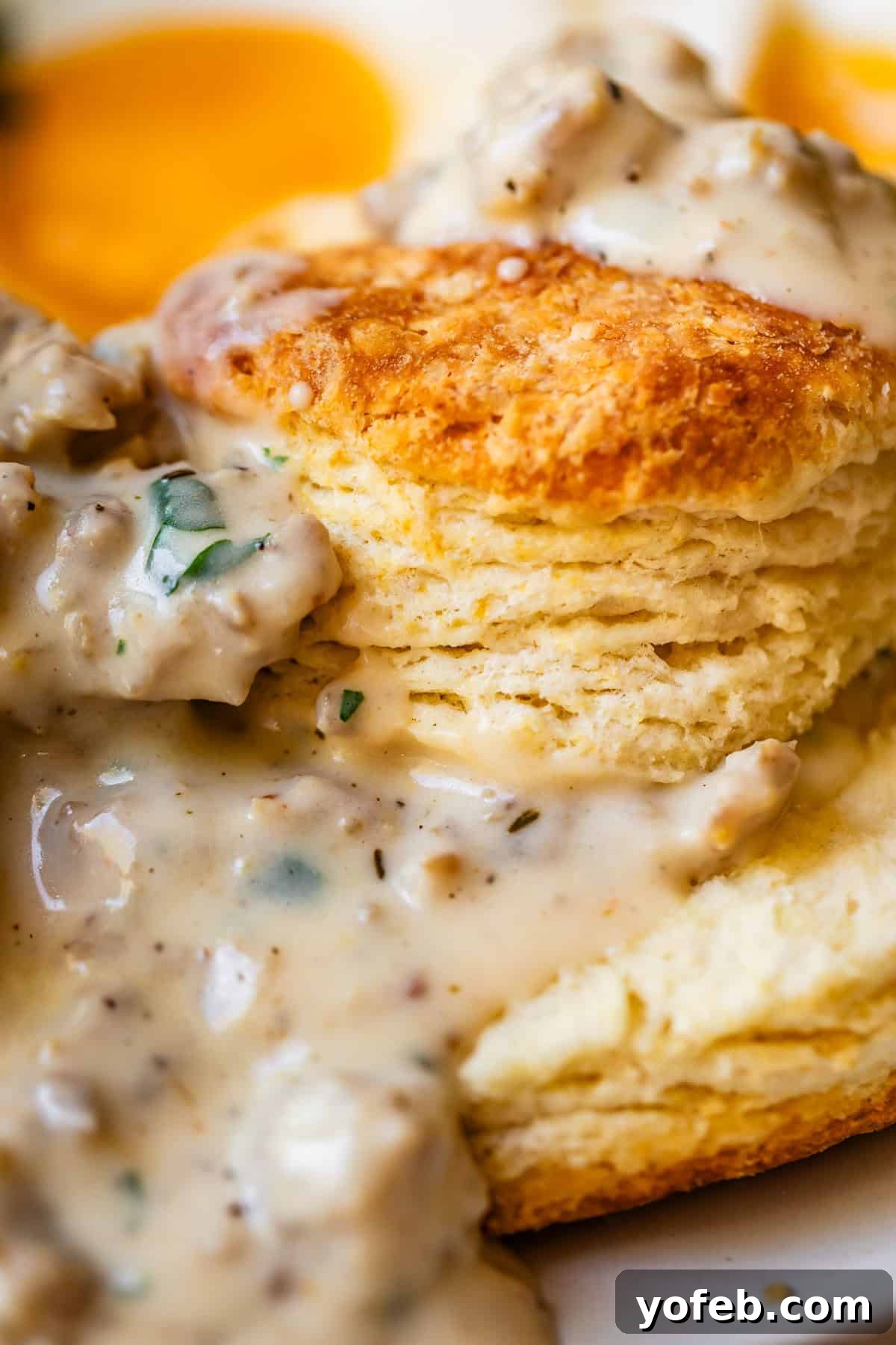 Fluffy Biscuits, Savory Gravy 21 close up of a split biscuit with the pieces stacked and sausage gravy on top and between.