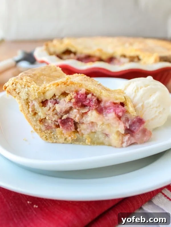 Delicious Rhubarb Custard Pie with Ice Cream A beautiful slice of Rhubarb Custard Pie on a plate with a generous scoop of vanilla ice cream, showcasing its creamy filling and golden crust.