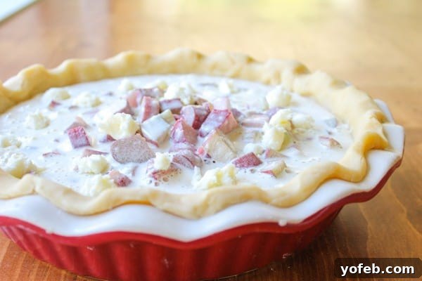 Rhubarb Custard Filling in Crust Rhubarb custard mixture poured into the bottom pie crust, ready for the top layer.