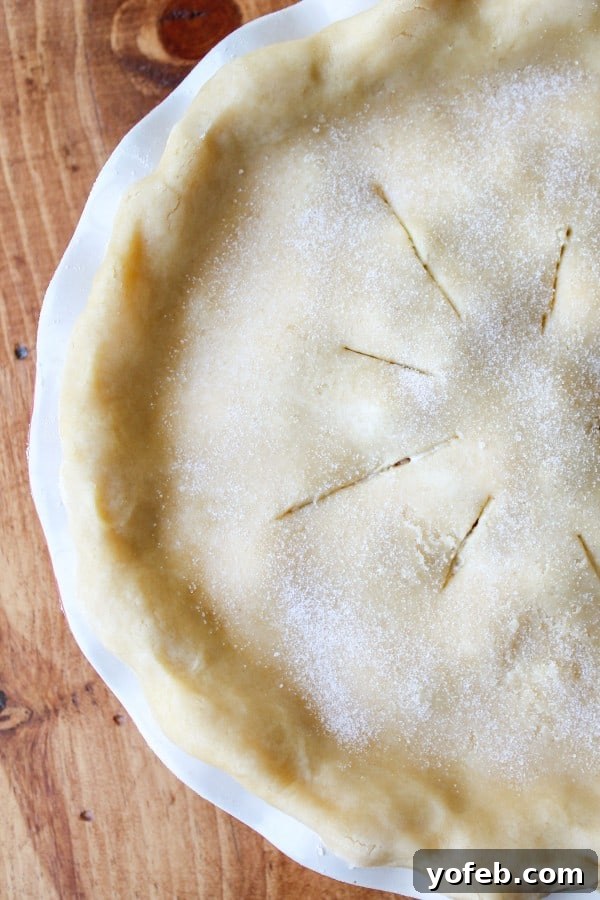 Unbaked Pie with Vents An unbaked Rhubarb Custard Pie with vent slits cut into the top crust.