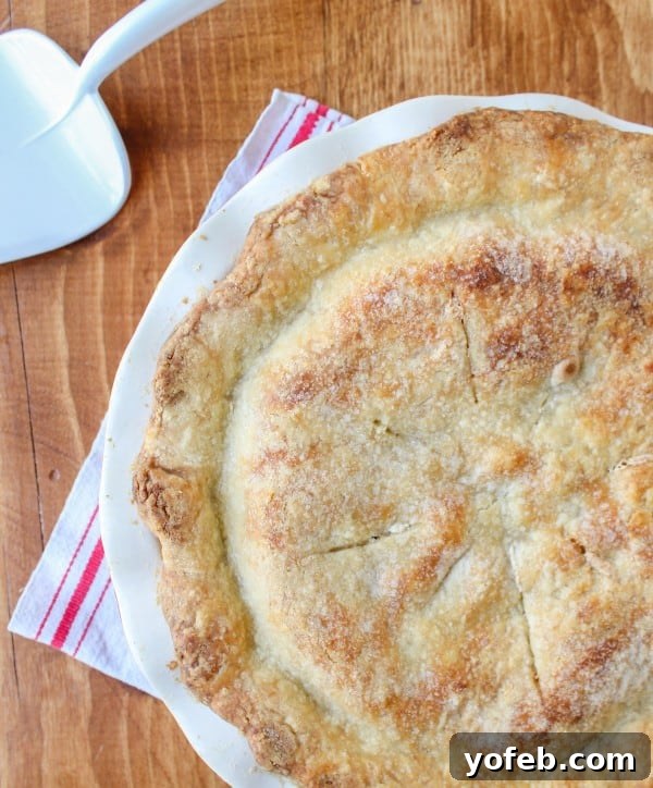 Freshly Baked Rhubarb Custard Pie A freshly baked, golden-brown Rhubarb Custard Pie, hot out of the oven, ready to cool.
