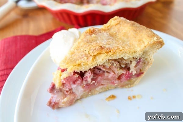 Rhubarb Custard Pie with Vanilla Ice Cream A close-up shot of a slice of Rhubarb Custard Pie with melted vanilla ice cream, emphasizing its warm, inviting nature.