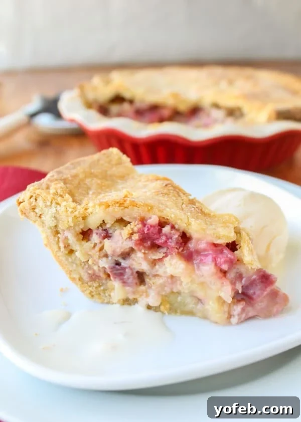 Rhubarb Custard Pie