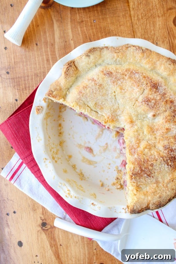 Velvety Rhubarb Custard Bliss 2 A freshly baked Rhubarb Custard Pie with a slice already removed, revealing the vibrant pink rhubarb and creamy custard filling.
