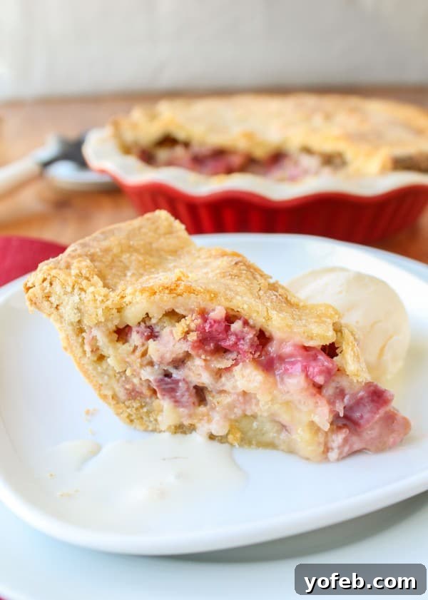 Perfect Rhubarb Custard Pie Slice A perfect slice of Rhubarb Custard Pie on a white plate, ready to be enjoyed, showing off the golden crust and creamy filling.