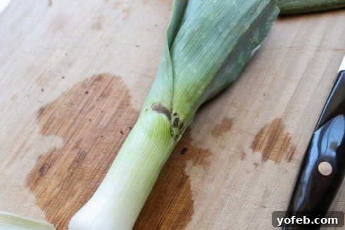 Dirt trapped in leek layers, emphasizing the need for thorough washing