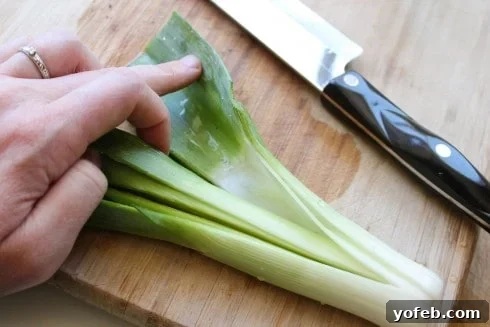 Hand demonstrating washing leeks