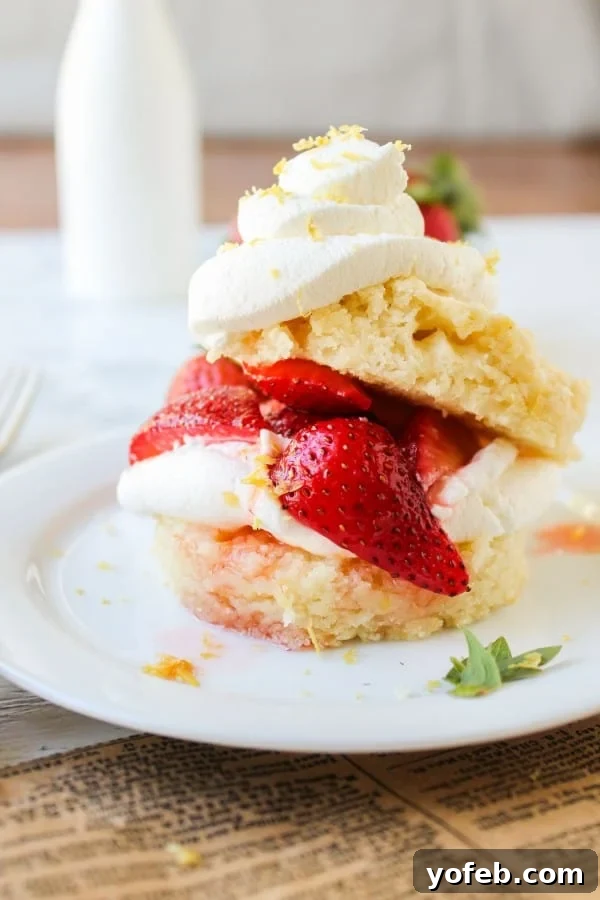 Strawberry Lemon Shortcake
