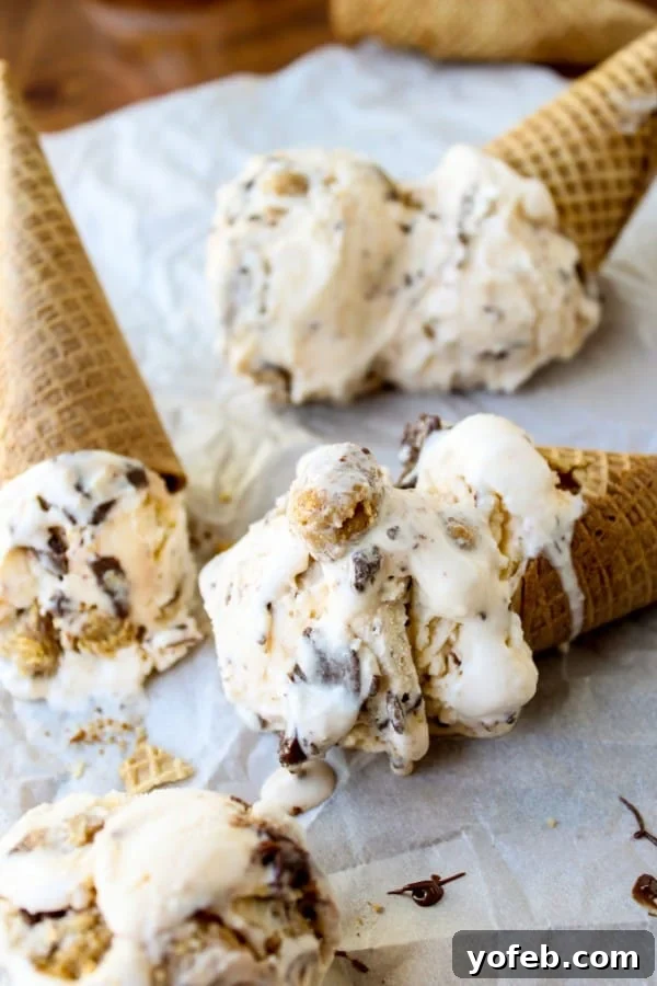 Nutella-Swirled Vanilla Ice Cream with Peanut Butter Cup Chunks 2 Rich Nutella Swirled Vanilla Ice Cream with Homemade Reese's-Style Chunks