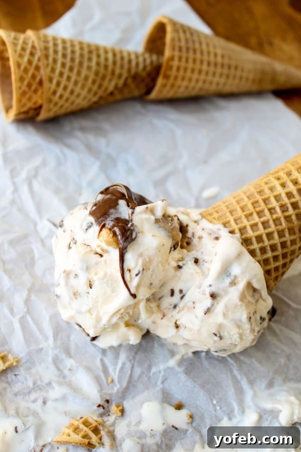 Nutella-Swirled Vanilla Ice Cream with Peanut Butter Cup Chunks 4 Scoop of Nutella Swirled Vanilla Ice Cream with visible peanut butter chunks