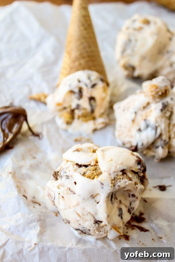Nutella-Swirled Vanilla Ice Cream with Peanut Butter Cup Chunks 5 Ingredients laid out for Nutella Swirled Vanilla Ice Cream with Reese's Chunks