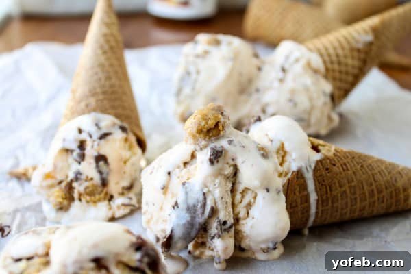 Nutella-Swirled Vanilla Ice Cream with Peanut Butter Cup Chunks 7 Generous serving of Nutella Swirled Vanilla Ice Cream with Reese's Chunks in a bowl